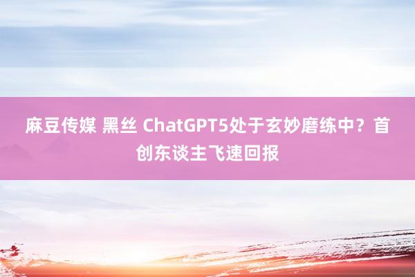 麻豆传媒 黑丝 ChatGPT5处于玄妙磨练中？首创东谈主飞速回报