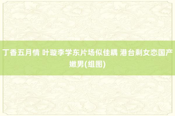 丁香五月情 叶璇李学东片场似佳耦 港台剩女恋国产嫩男(组图)