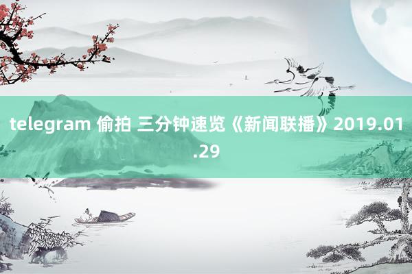 telegram 偷拍 三分钟速览《新闻联播》2019.01.29