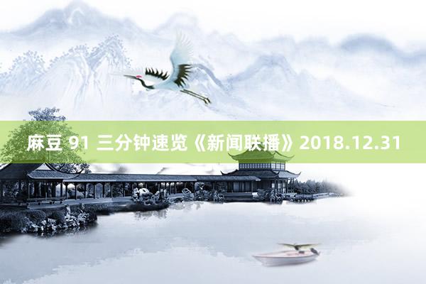 麻豆 91 三分钟速览《新闻联播》2018.12.31