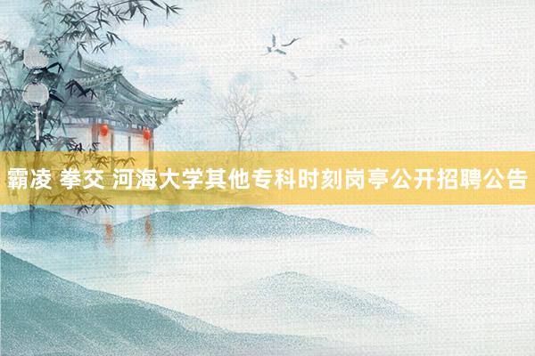 霸凌 拳交 河海大学其他专科时刻岗亭公开招聘公告